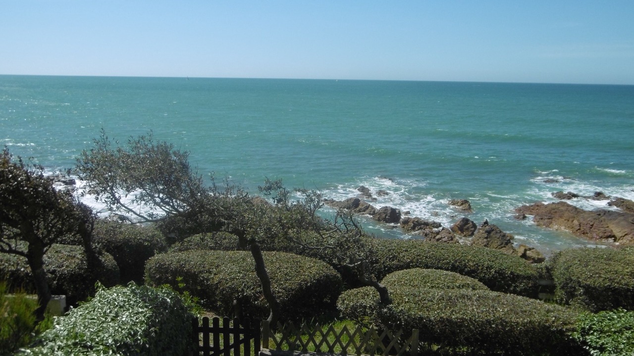 Photo of Others in Chateau-d'Olonne