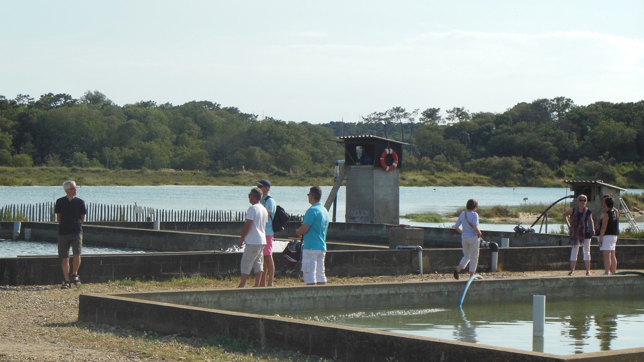 Photo of Others in Chateau-d'Olonne