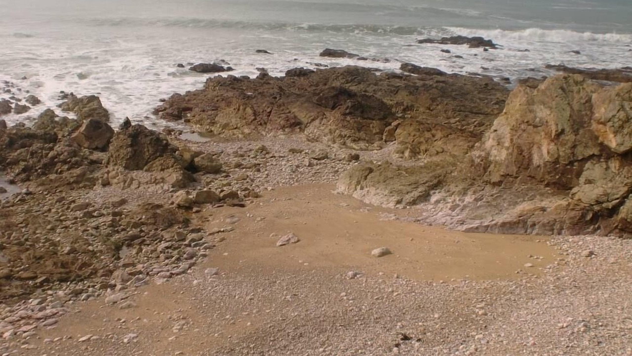 Photo of Others in Chateau-d'Olonne