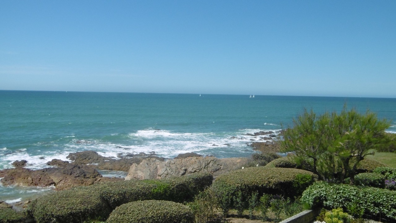 Photo of Others in Chateau-d'Olonne