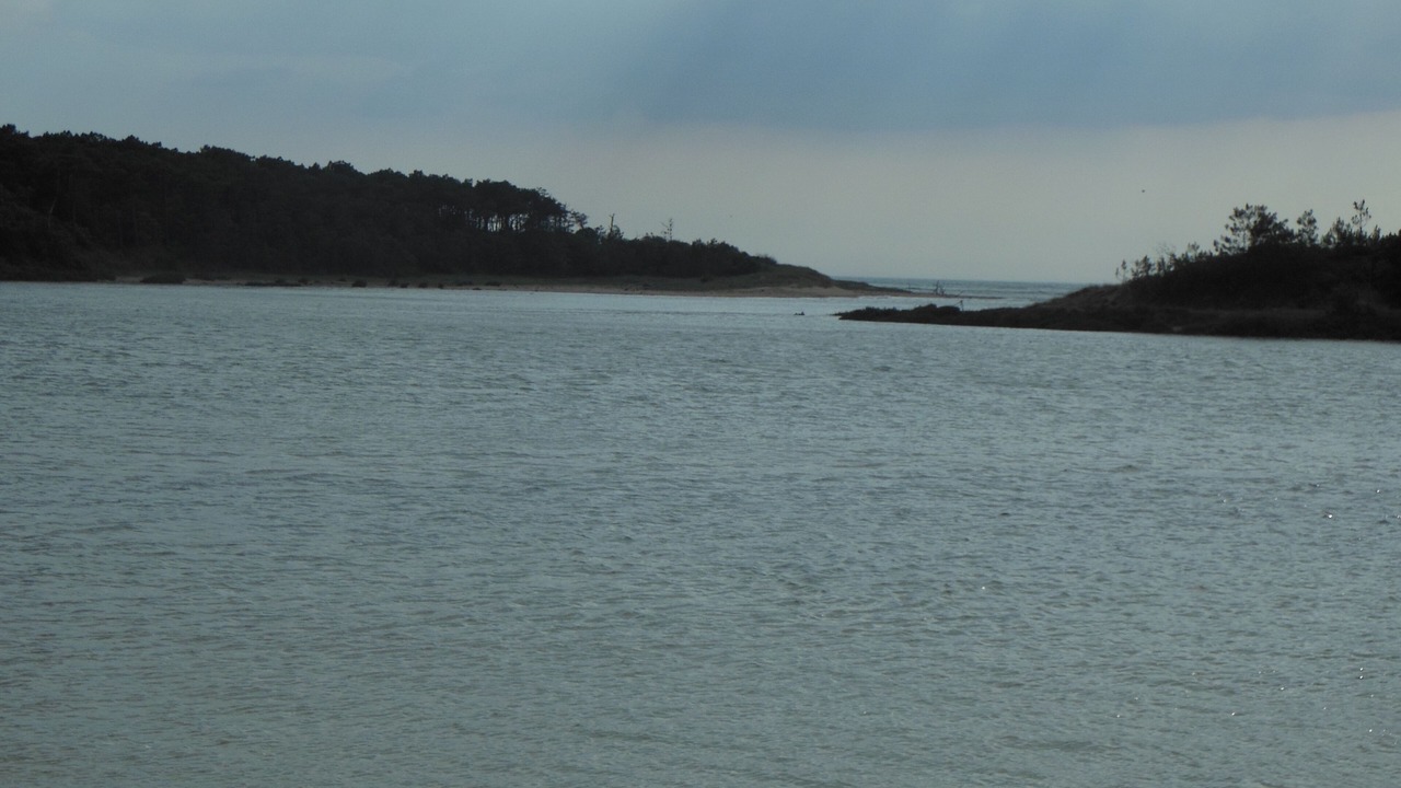 Photo of Others in Chateau-d'Olonne