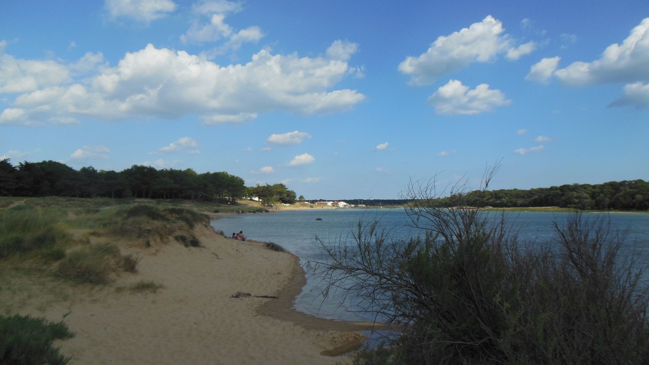Photo of Others in Chateau-d'Olonne