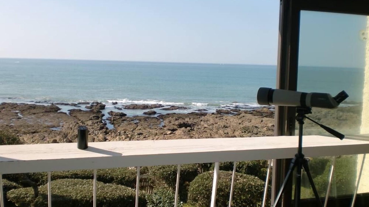 Photo of Others in Chateau-d'Olonne