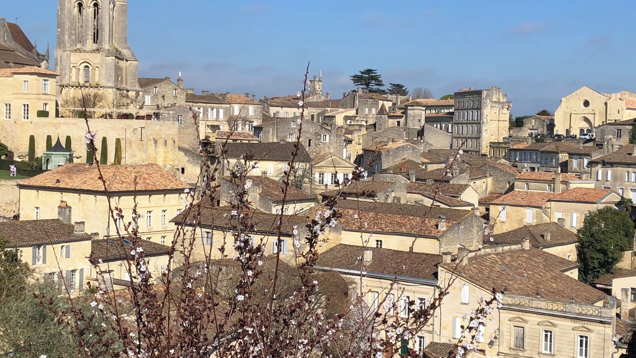 Photo of Outdoor in Saint-Pey-de-Castets
