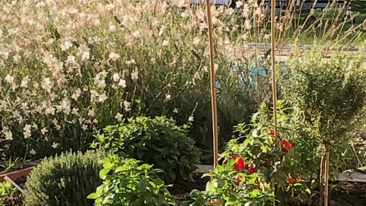 Photo of Outdoor in Saint-Pey-de-Castets