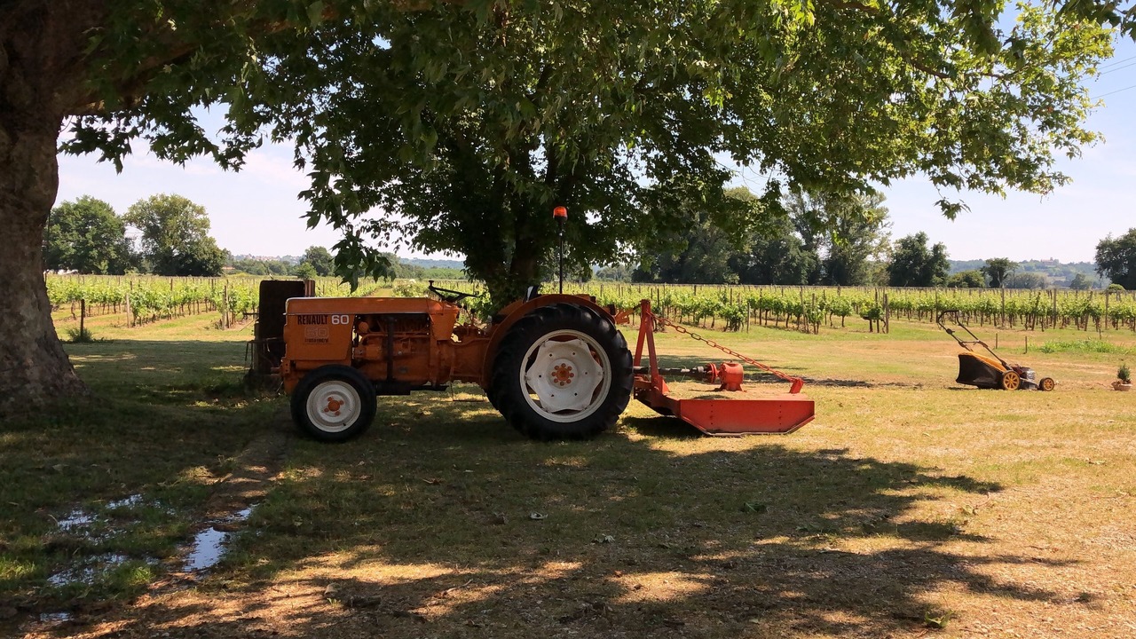 Photo of Outdoor in Saint-Pey-de-Castets