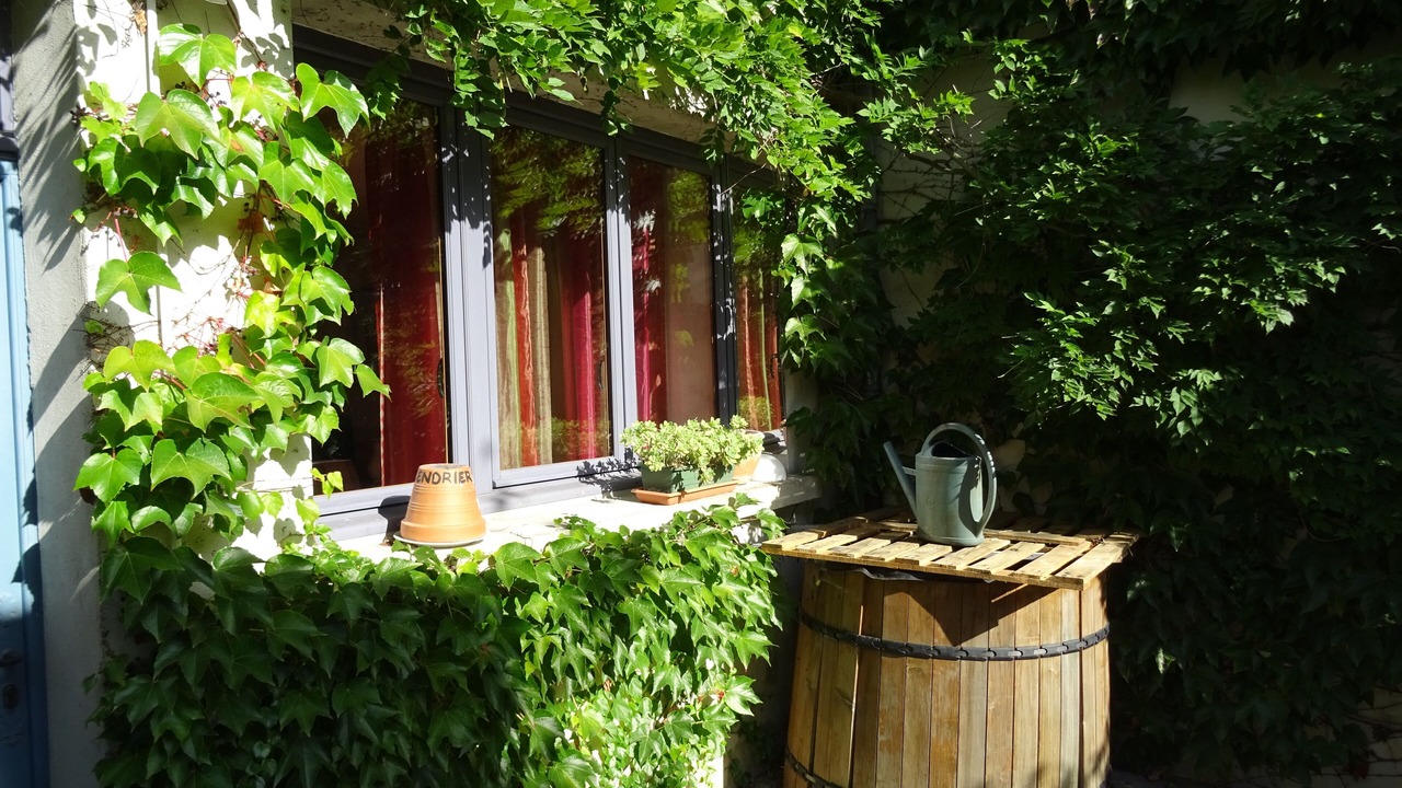 Photo of Outdoor in Verdelot