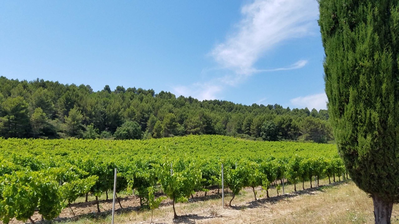 Photo of Others in Salleles-Cabardes