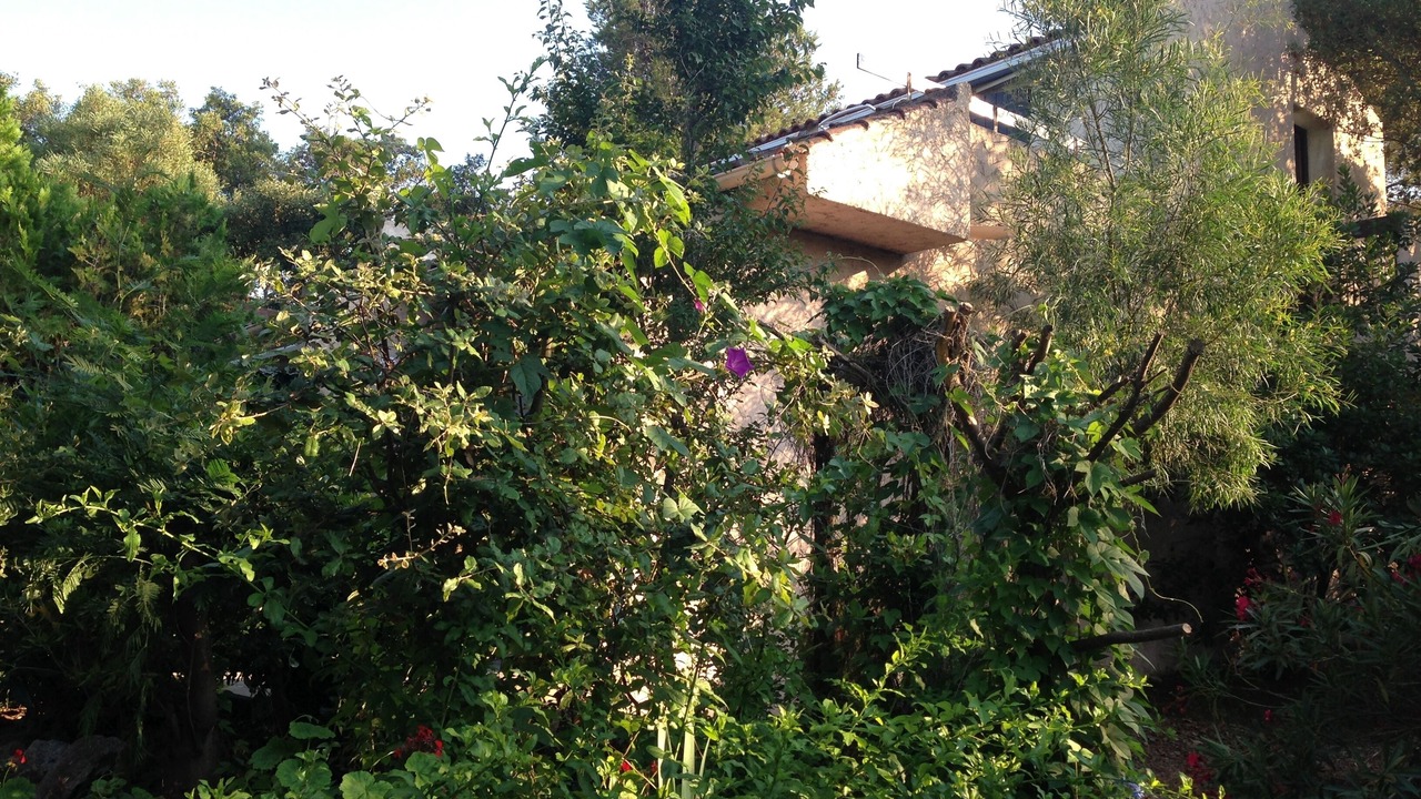 Photo of Outdoor in Porto-Vecchio