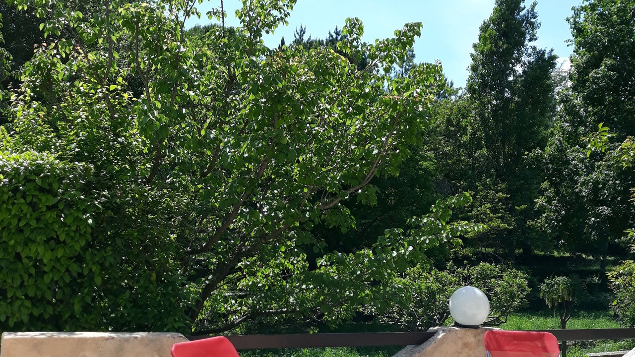 Photo of Patio Balcony in Saint-Jacques