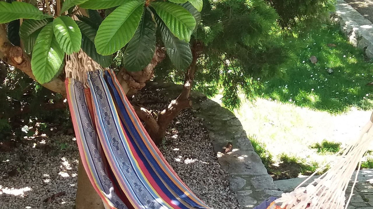 Photo of Outdoor in Saint-Jacques