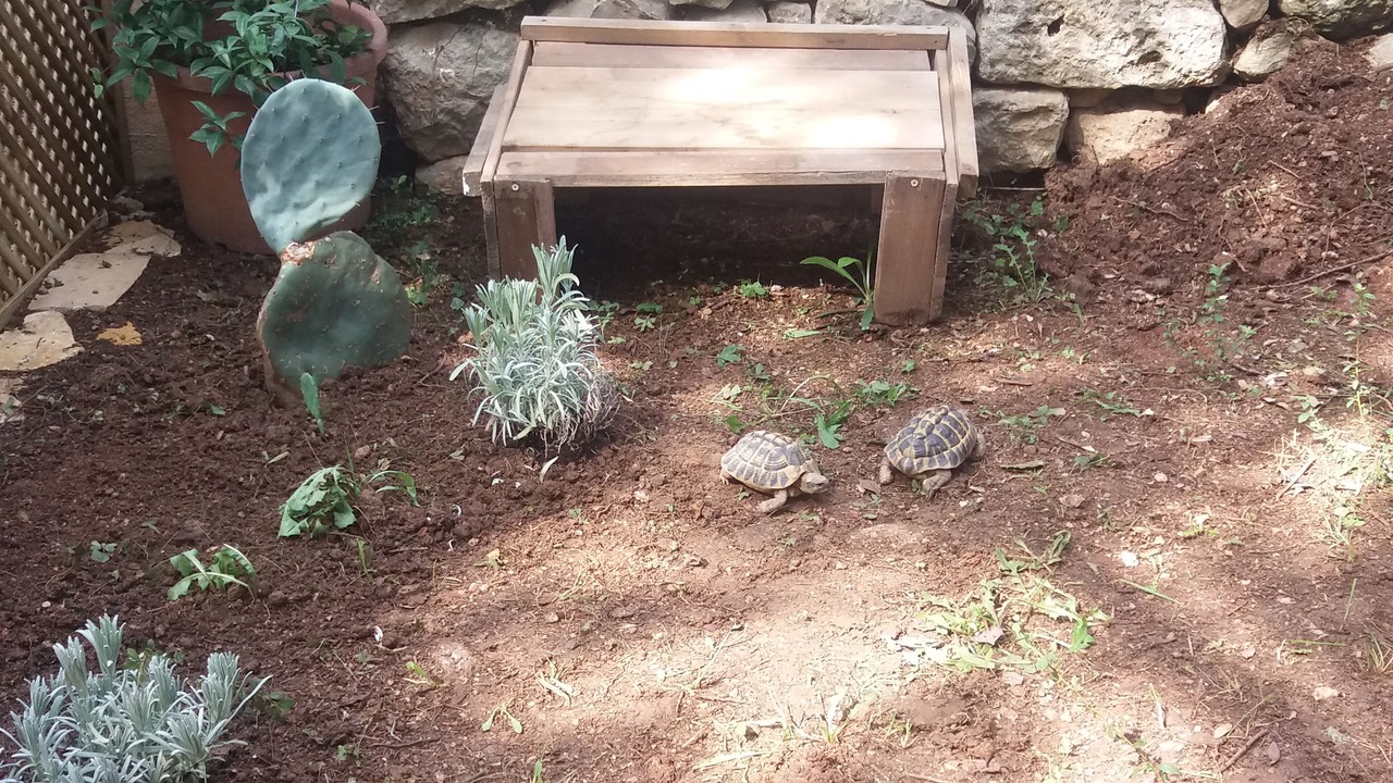 Photo of Outdoor in Saint-Jacques