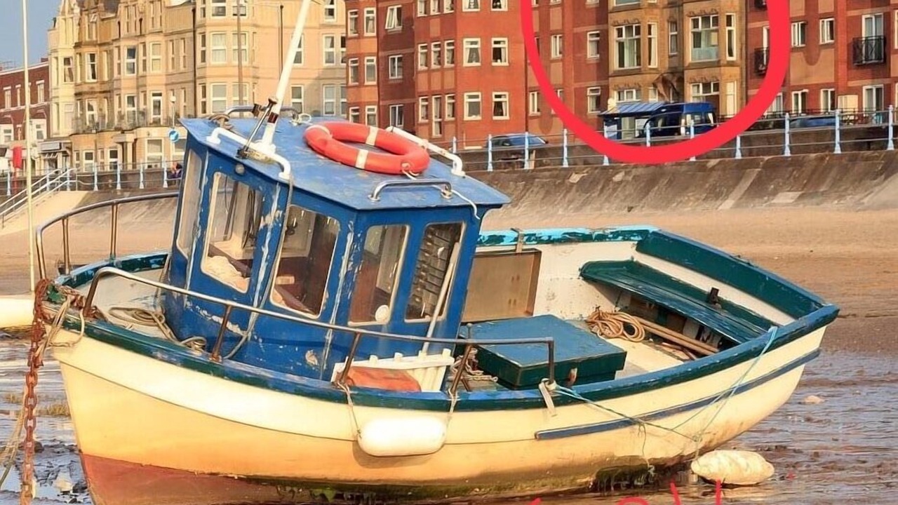 Photo of Others in Slyne