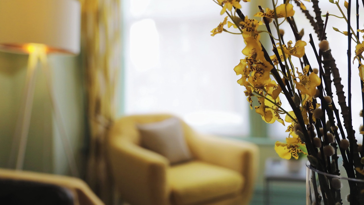 Photo of Others in Harrogate