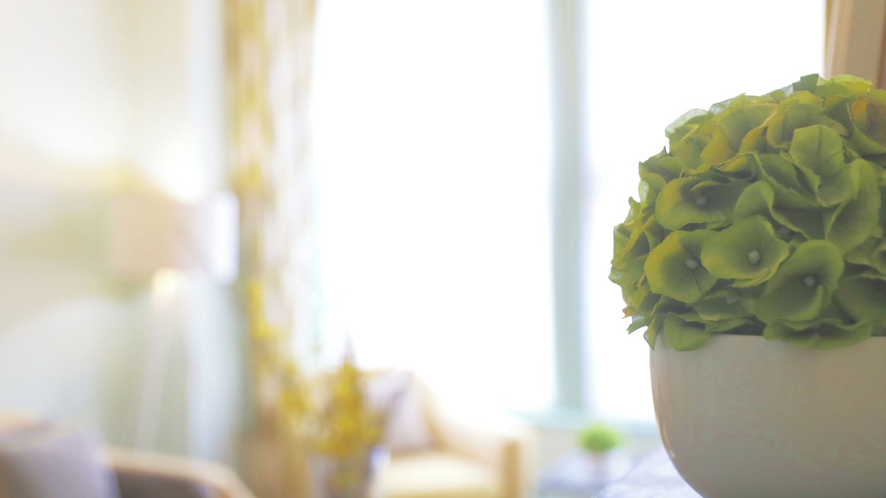 Photo of Others in Harrogate