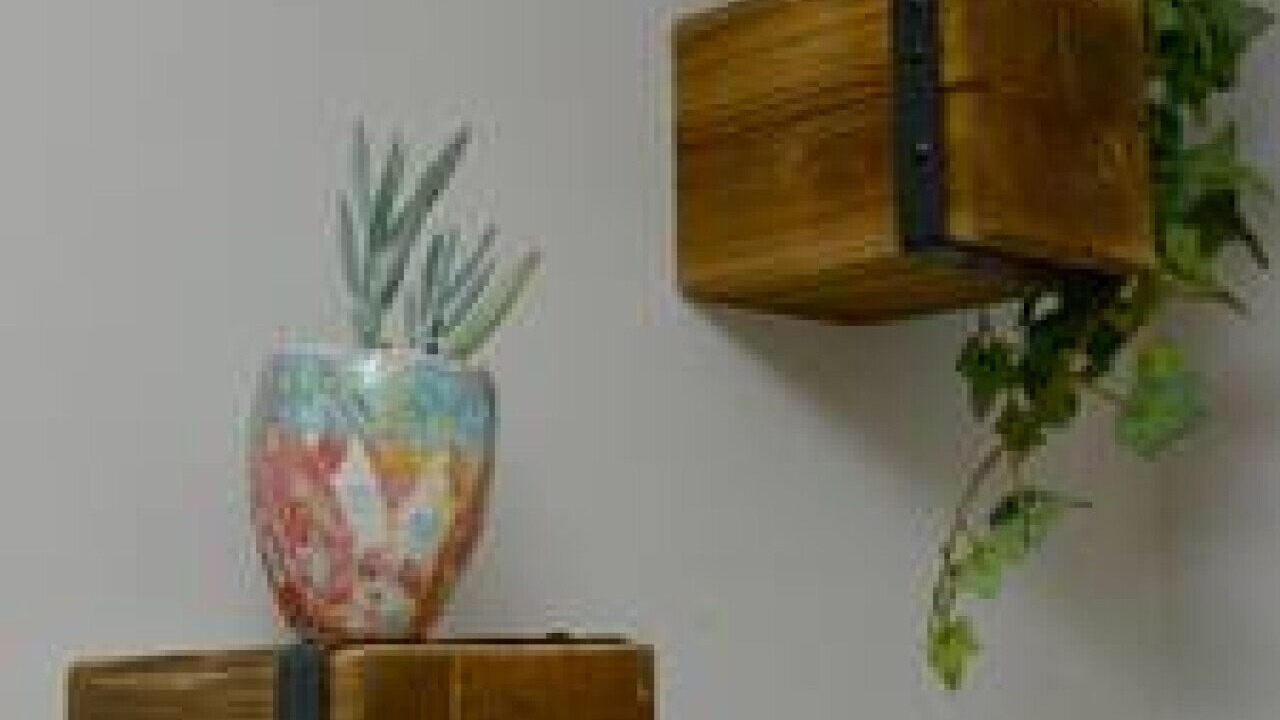 Photo of Others in St Ives