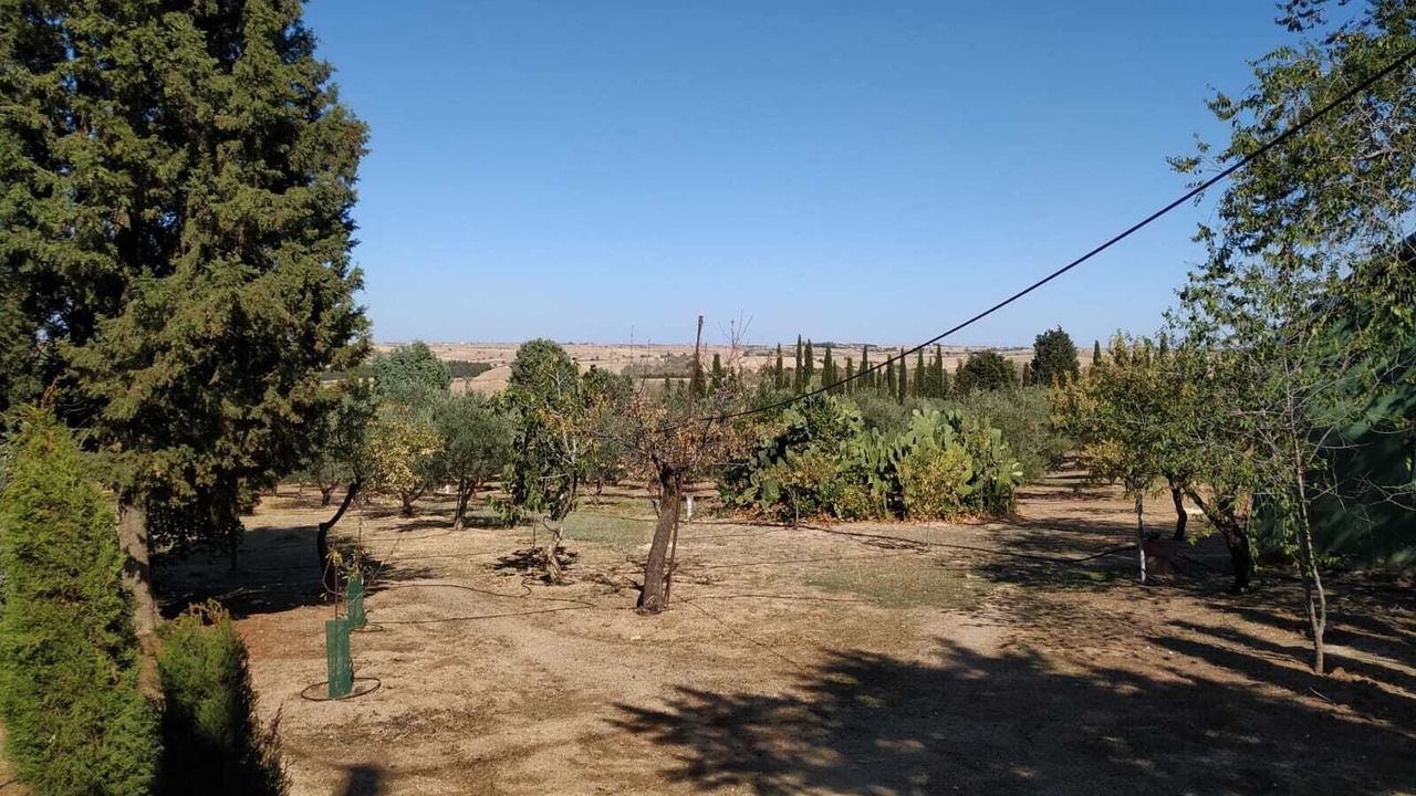 Photo of Outdoor in Serranillos del Valle