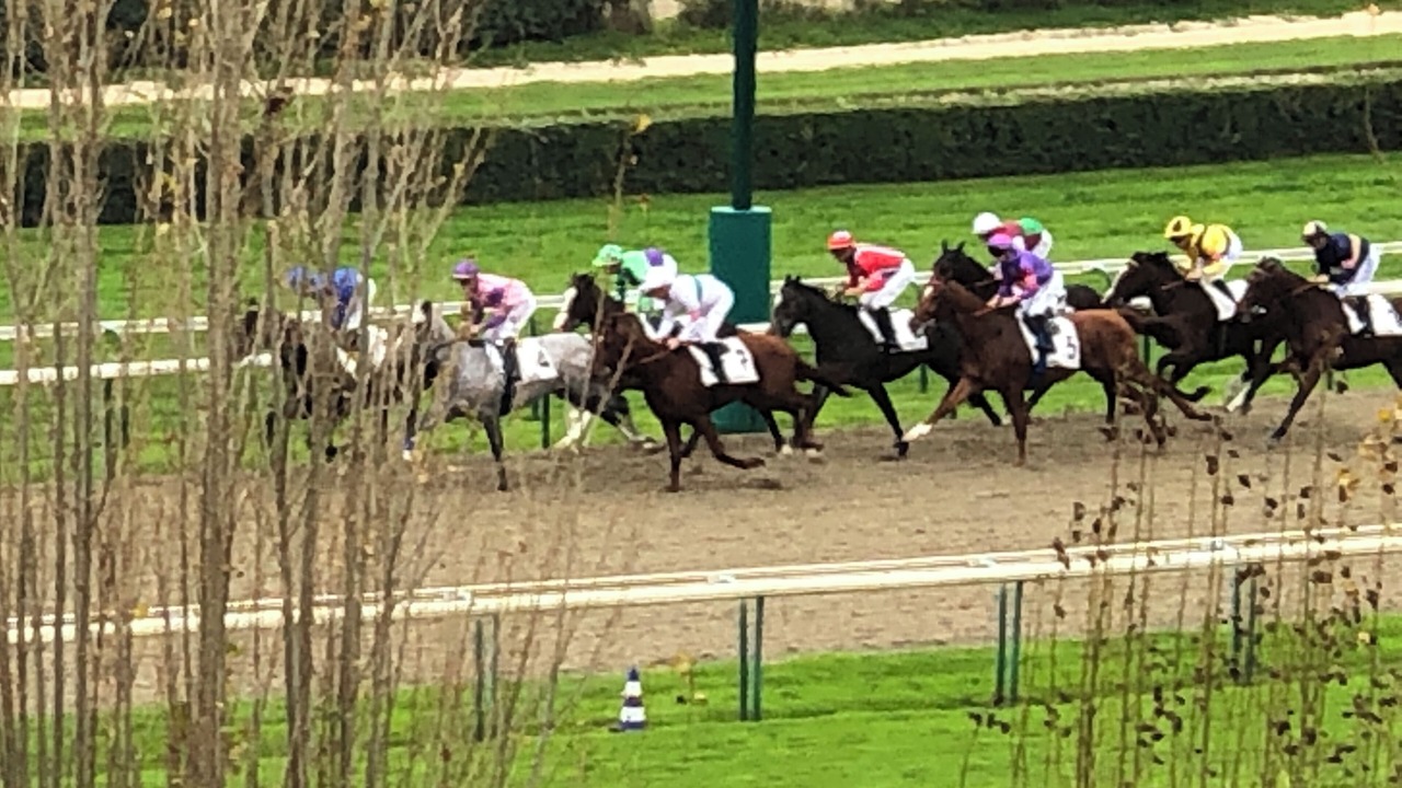 Photo of Others in Deauville City Centre