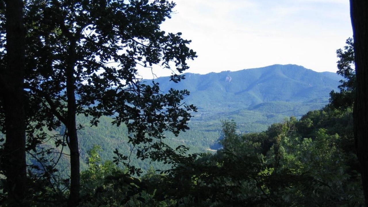Photo of Outdoor in Montferrer