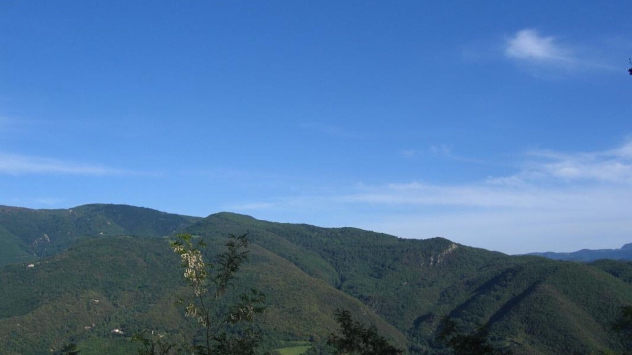 Photo of Others in Montferrer