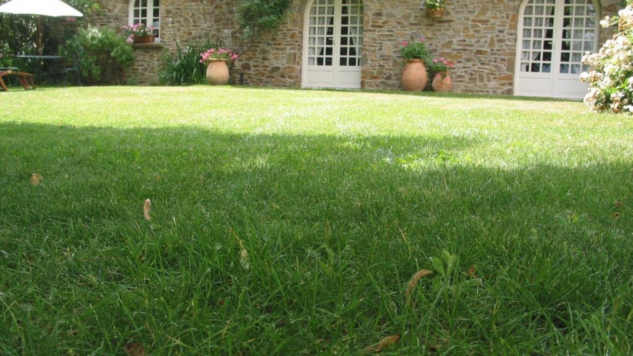 Photo of Outdoor in Montferrer