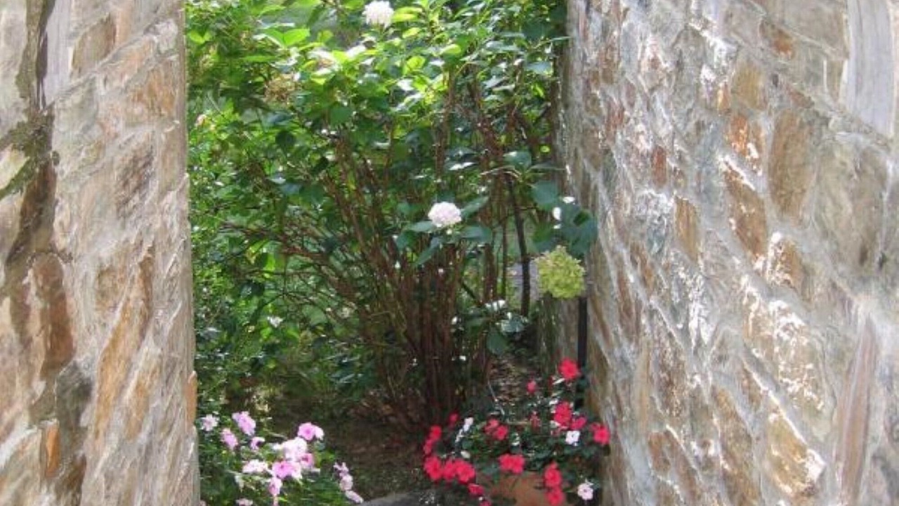 Photo of Outdoor in Montferrer