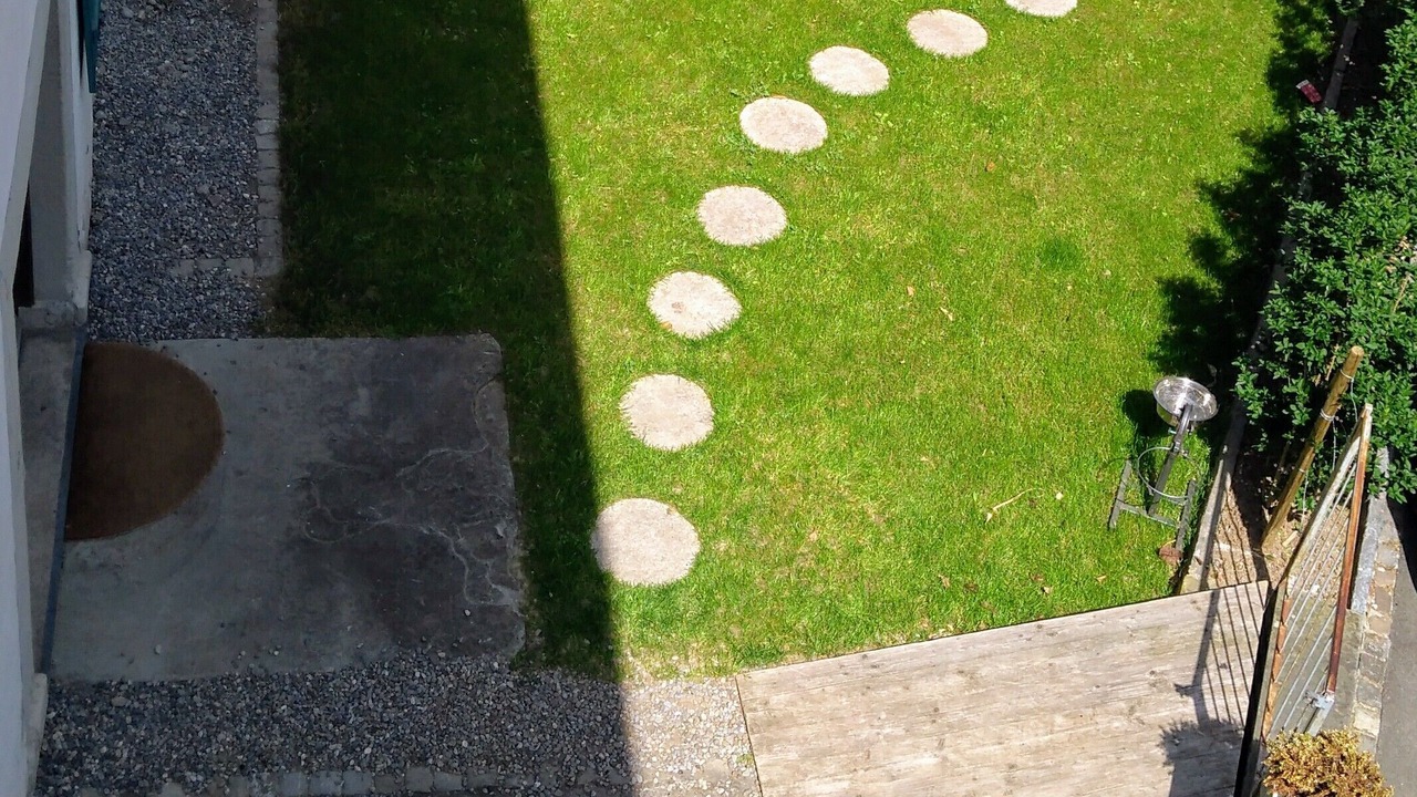 Photo of Outdoor in Horgen District