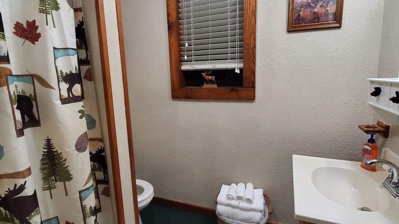 Photo of Bathroom in Gober