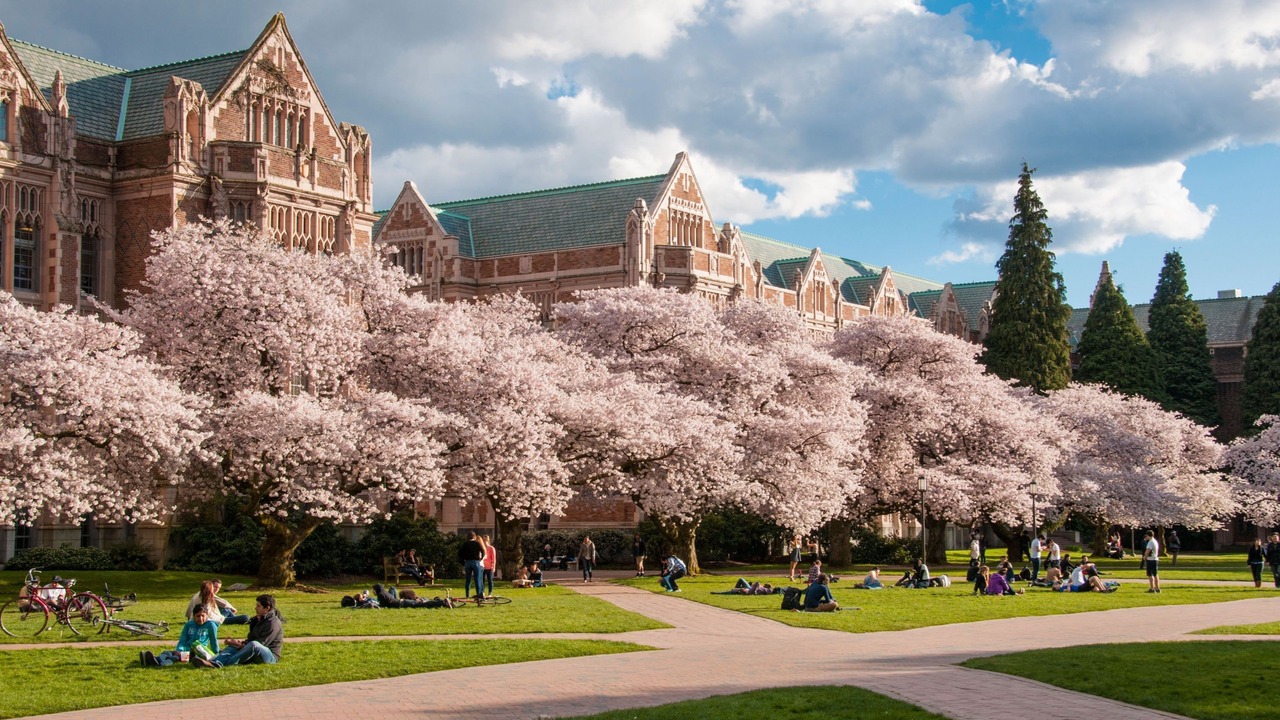 Photo of Others in Fremont