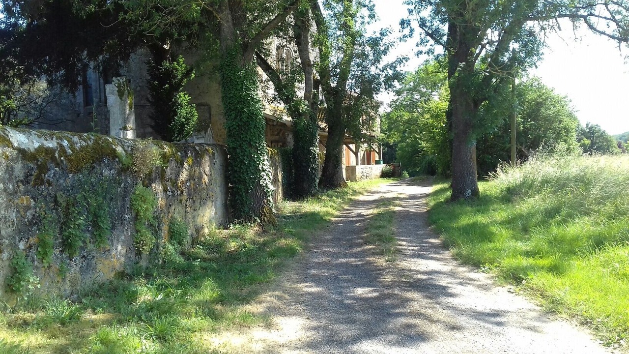 Photo of Outdoor in Moncrabeau