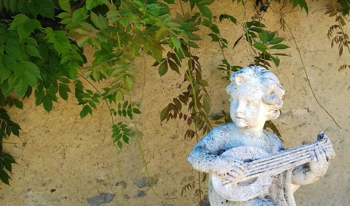 Photo of Outdoor in Moncrabeau