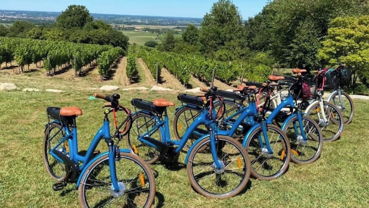 Photo of Outdoor in Monbazillac