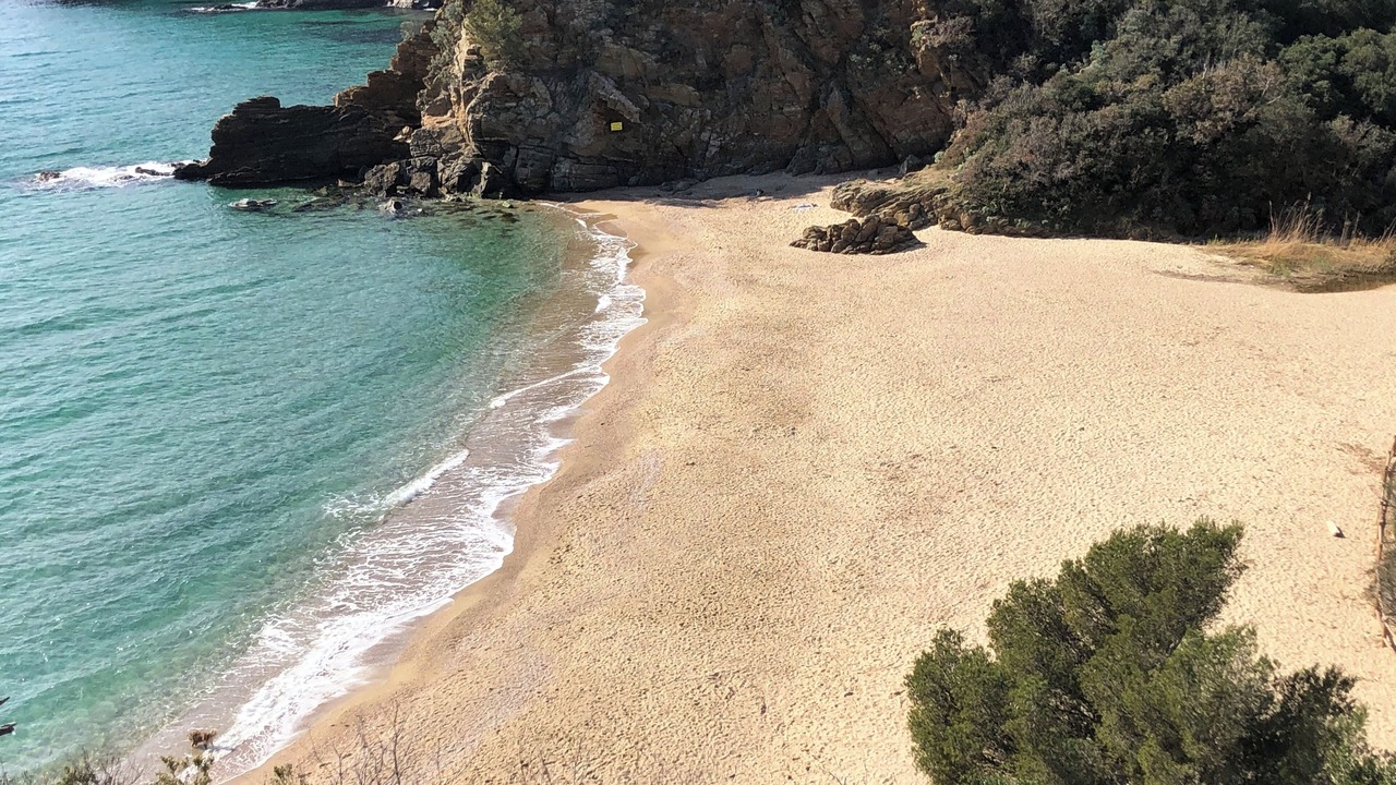 Photo of Others in Cavalaire-sur-Mer