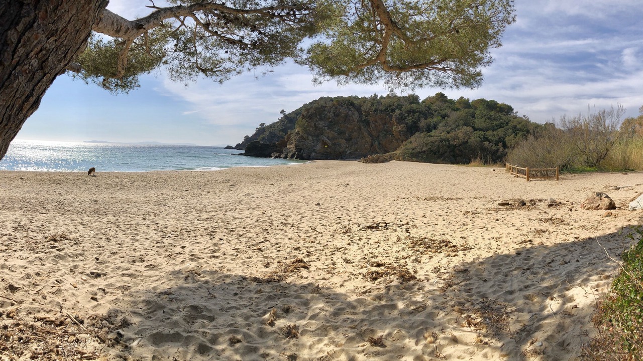 Photo of Others in Cavalaire-sur-Mer