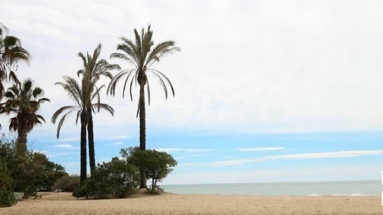 Photo of Others in Vilafortuny