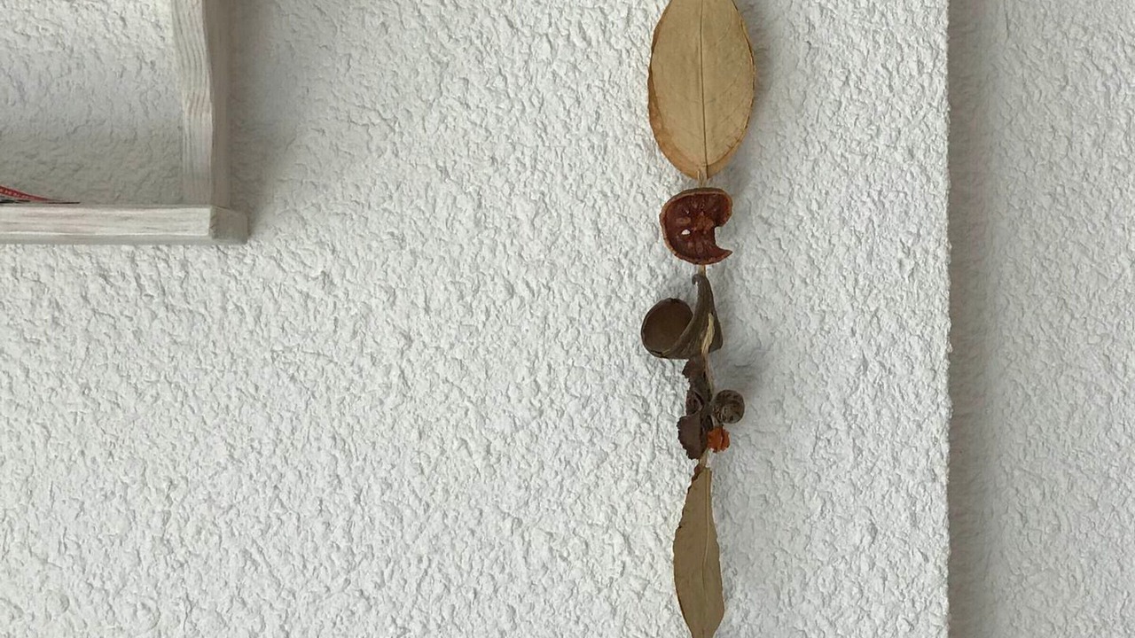 Photo of Others in Correncon-en-Vercors