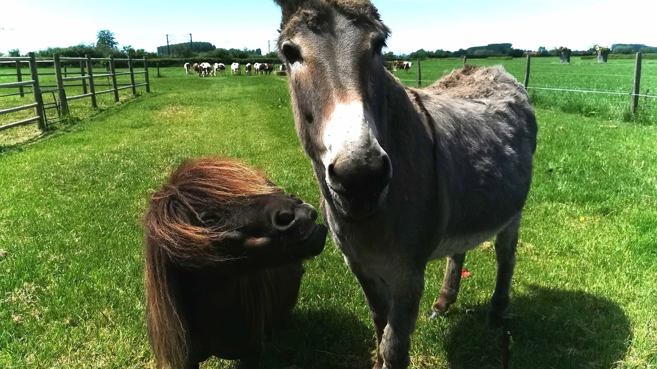 Photo of Outdoor in Borre