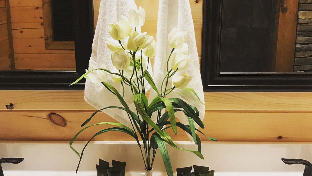 Photo of Bathroom in Van Buren