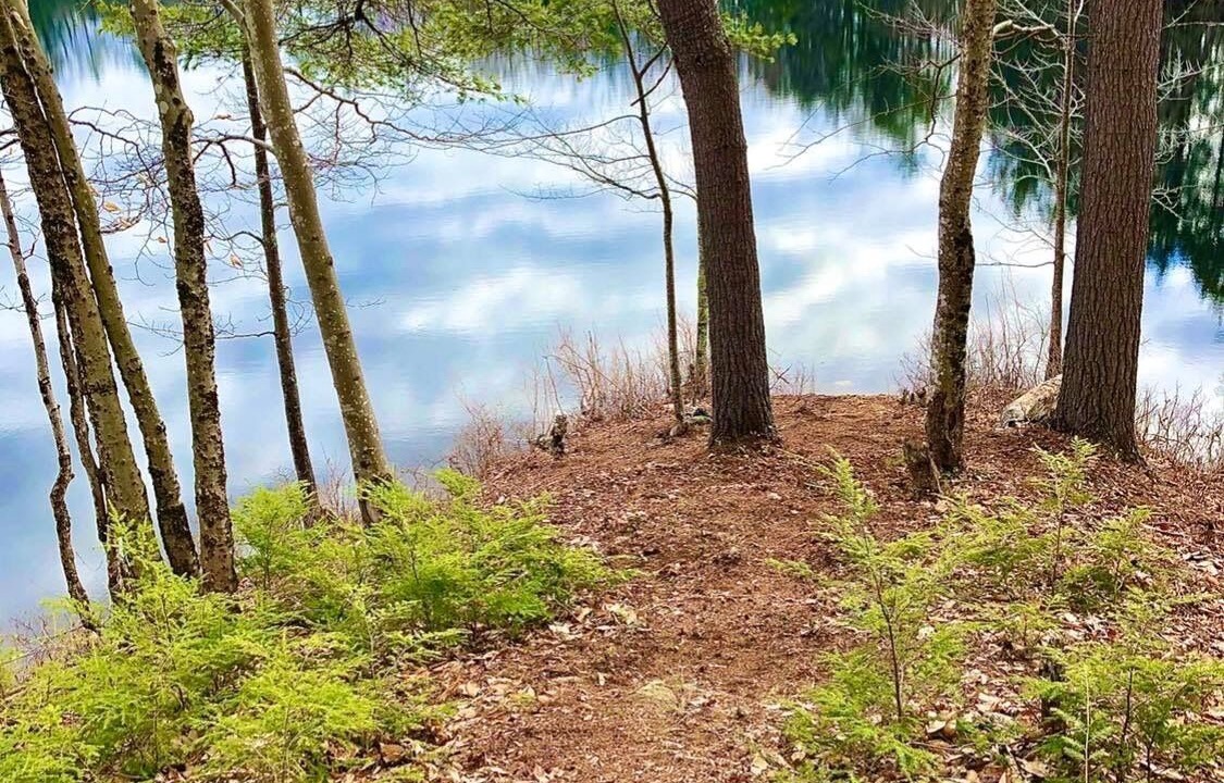 Photo of Others in Porter