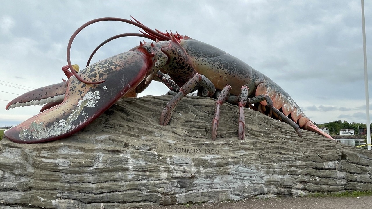 Photo of Others in Cap-Pele