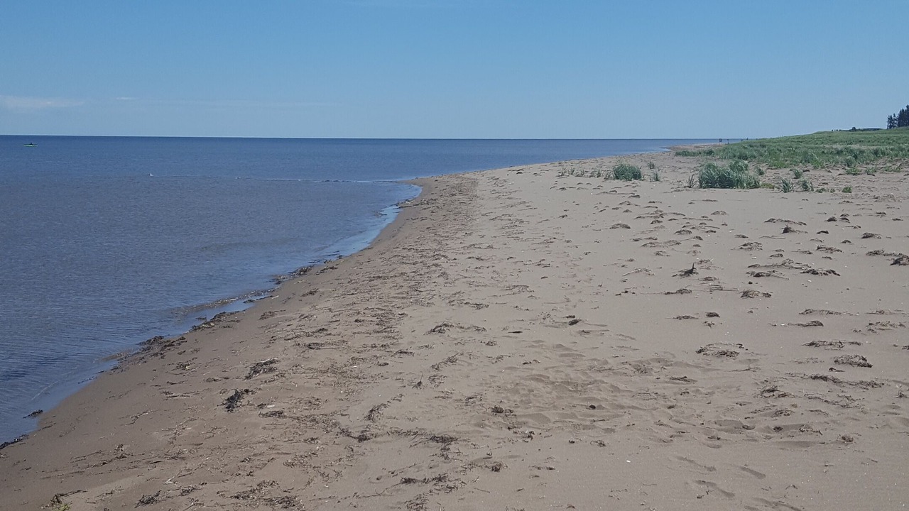 Photo of Others in Cap-Pele