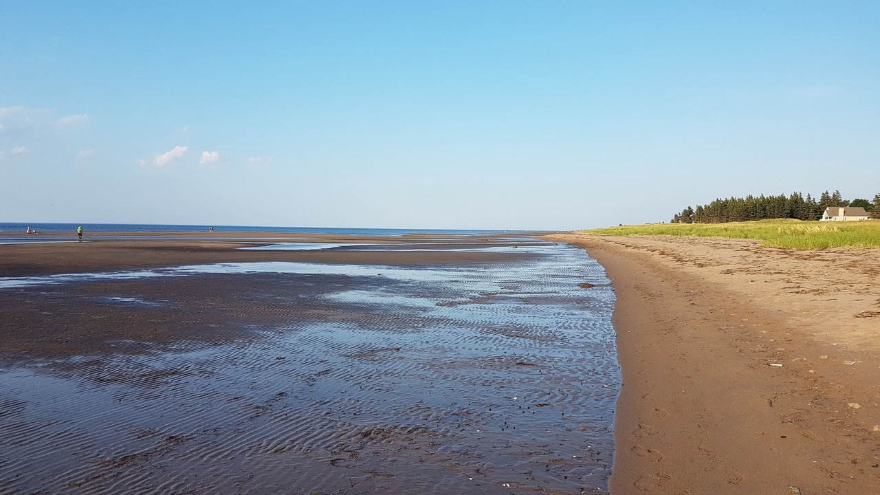 Photo of Others in Cap-Pele