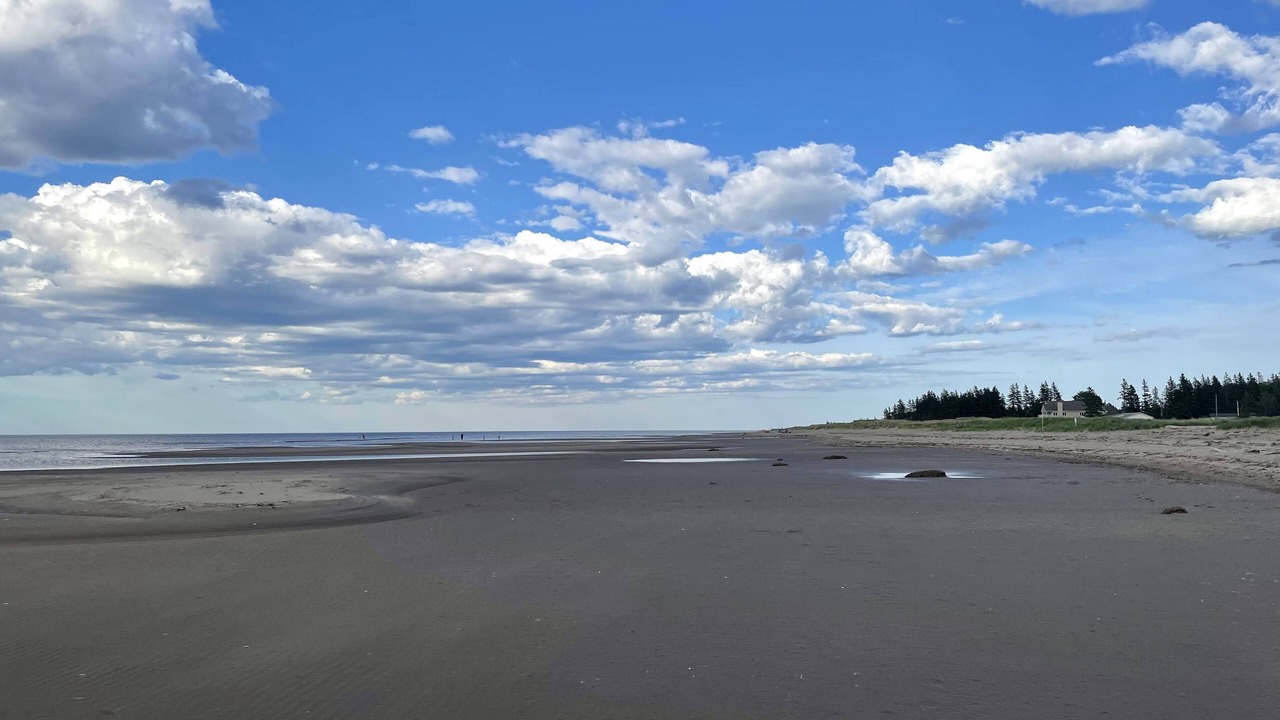 Photo of Others in Cap-Pele