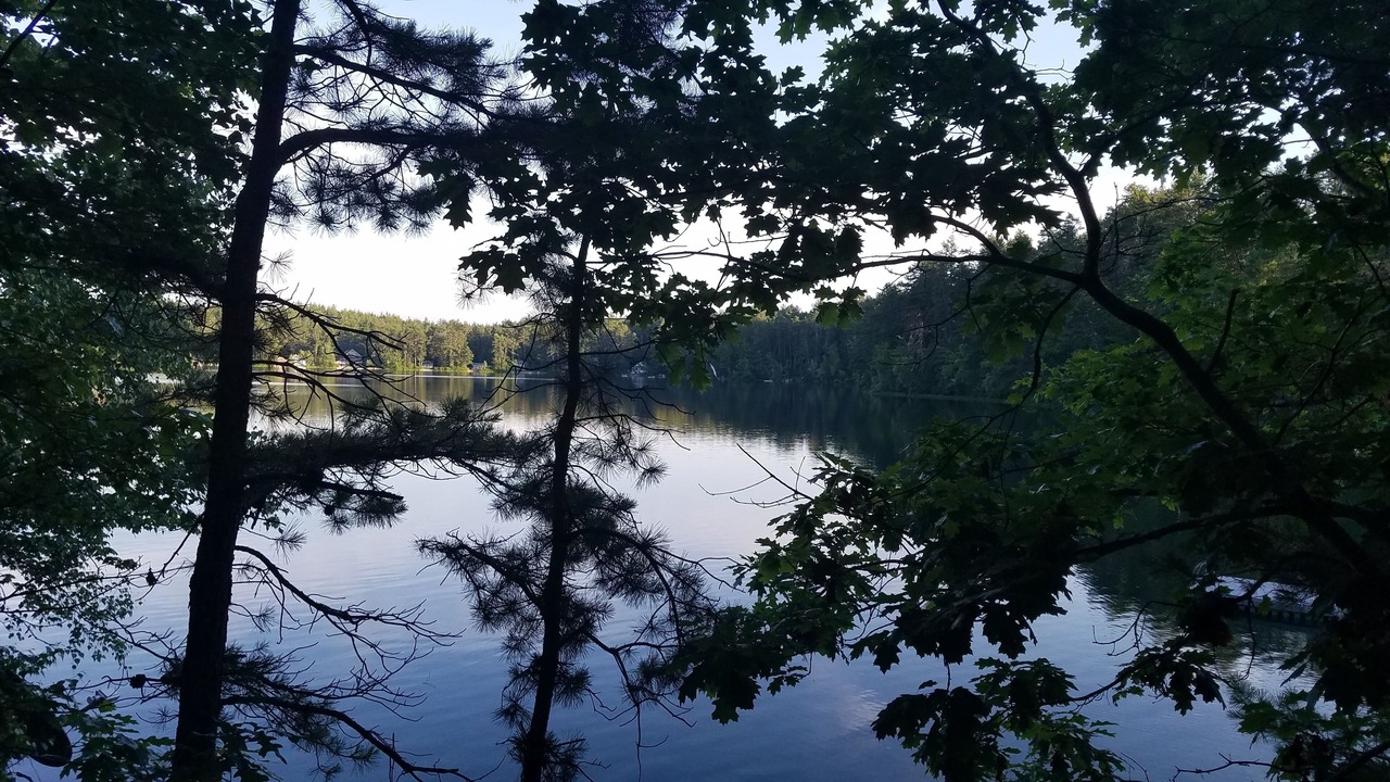 Photo of Outdoor in Ossipee