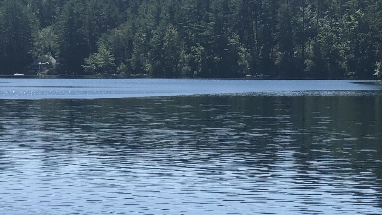 Photo of Others in Ossipee