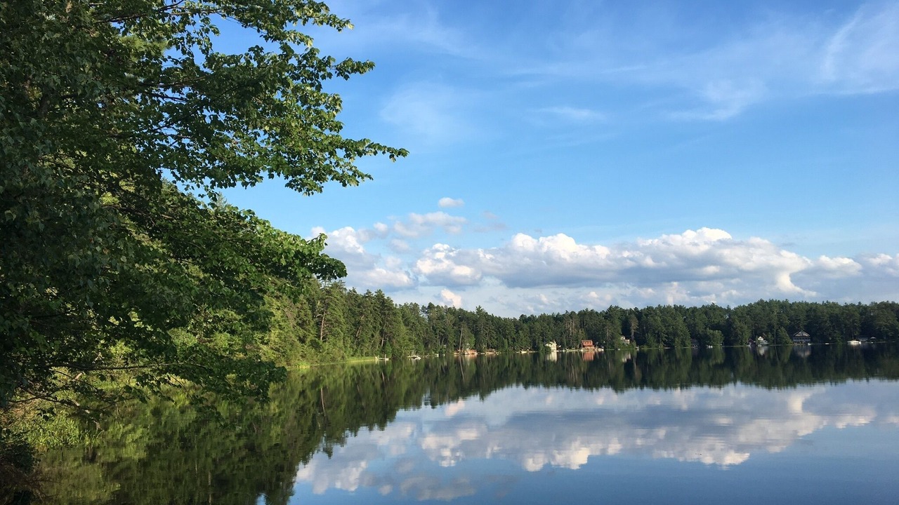 Photo of Others in Ossipee