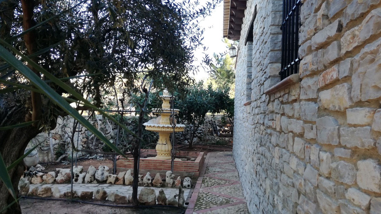 Photo of Outdoor in Llutxent