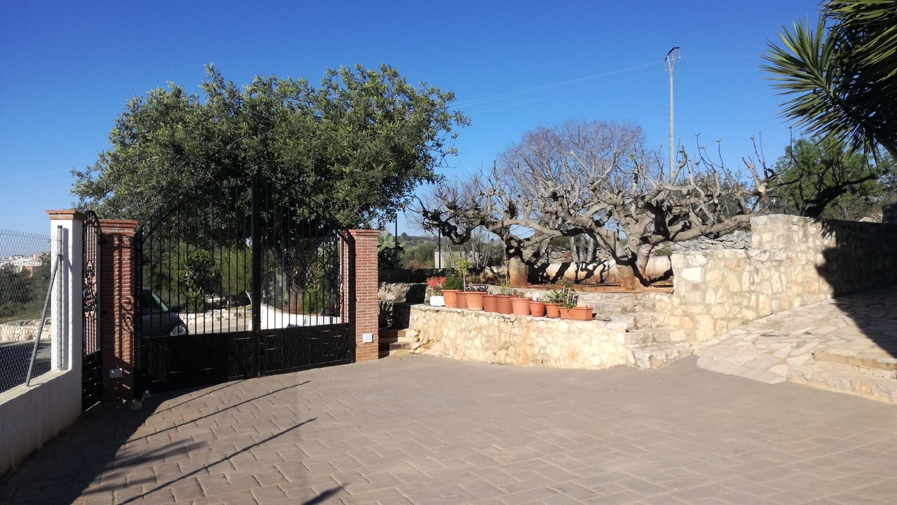 Photo of Outdoor in Llutxent