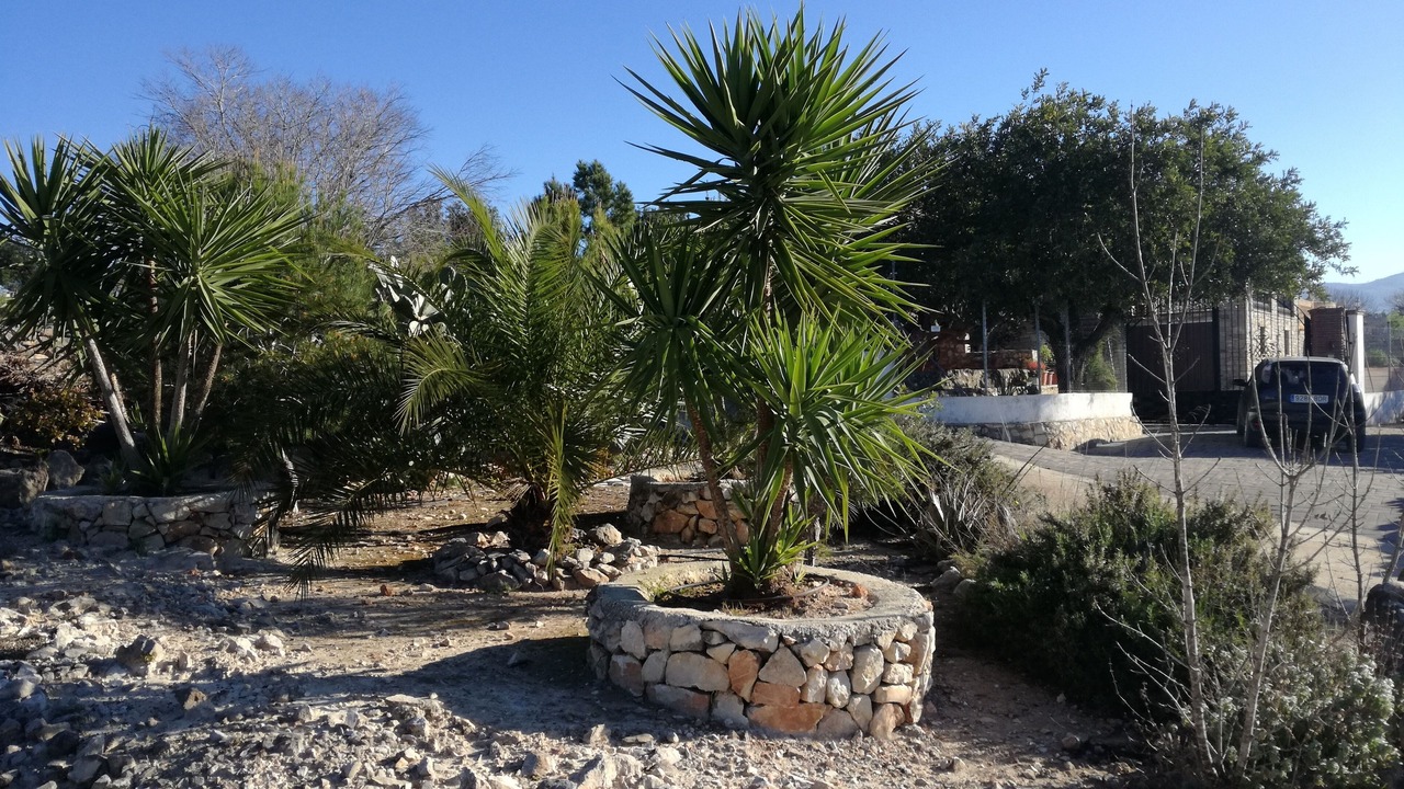 Photo of Outdoor in Llutxent