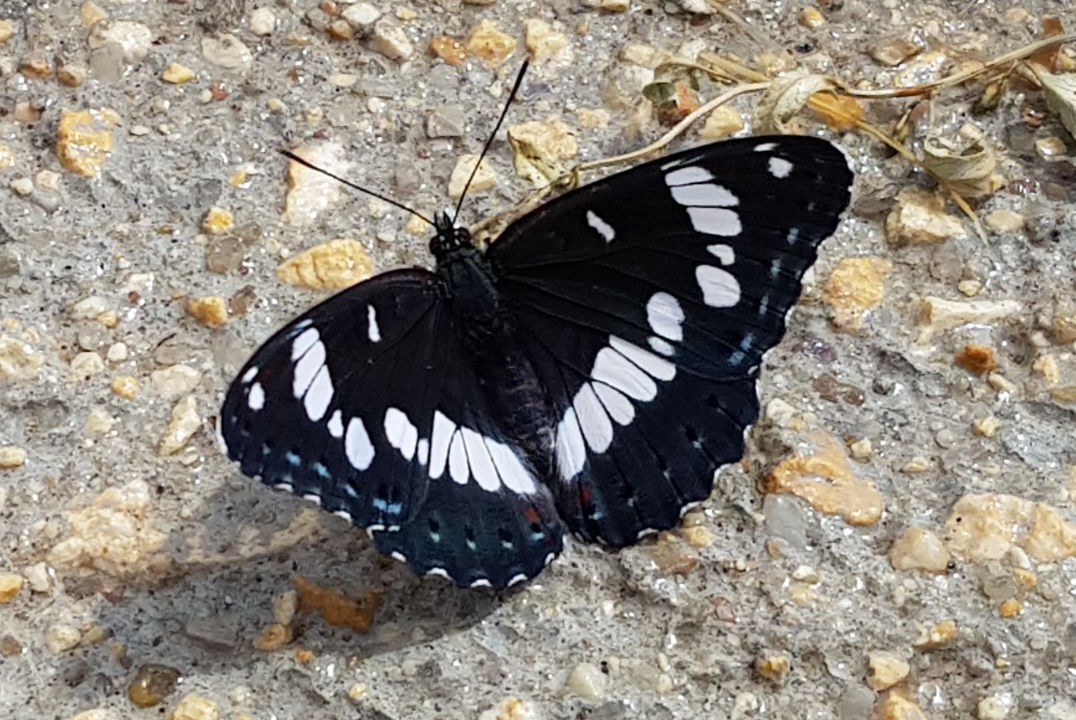 Photo of Others in Lanquais